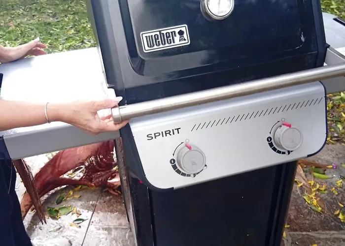 A Paradise With Ocean Views *